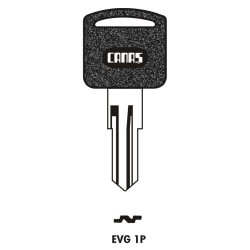 EVG 1P Canas