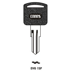 EVG 1SP Canas