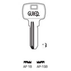 AP 1SB Guler