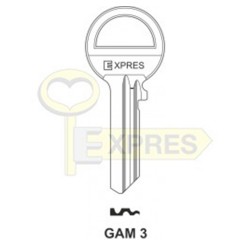GAM-3 Express GAM-3 Express