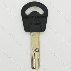 Mul-T-Lock Interactive 250